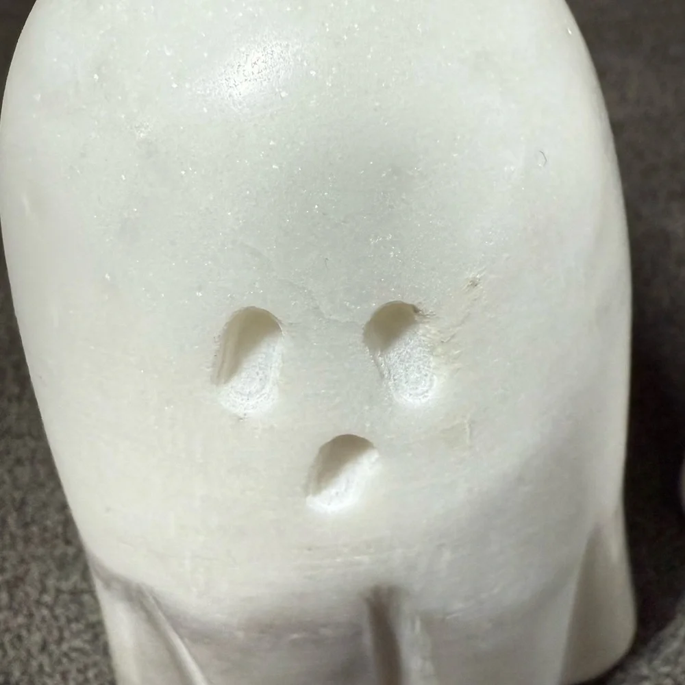 Williams Sonoma Be Home Ghost Salt & Pepper Shakers